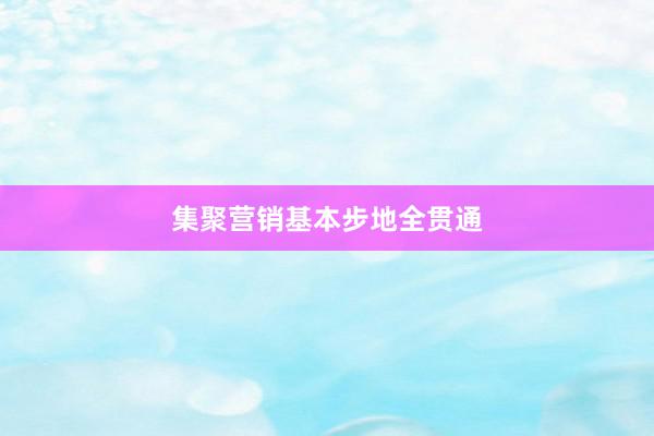 集聚营销基本步地全贯通