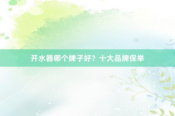 开水器哪个牌子好？十大品牌保举